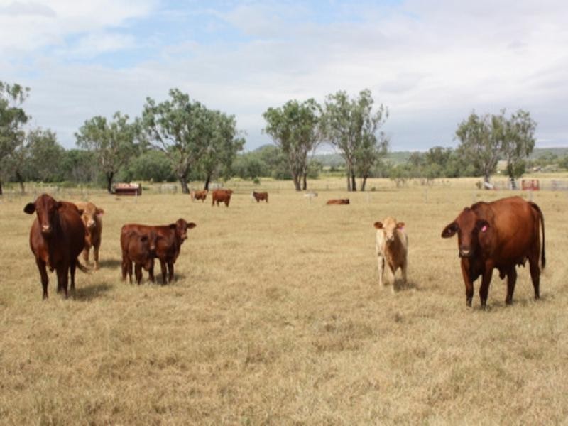 29 Boora Mugga Road, Pittsworth QLD 4356