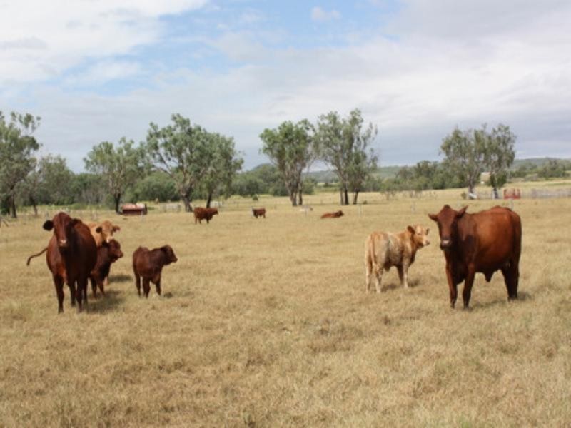 29 Boora Mugga Road, Pittsworth QLD 4356