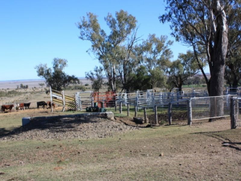0 Roche Road, Pittsworth QLD 4356