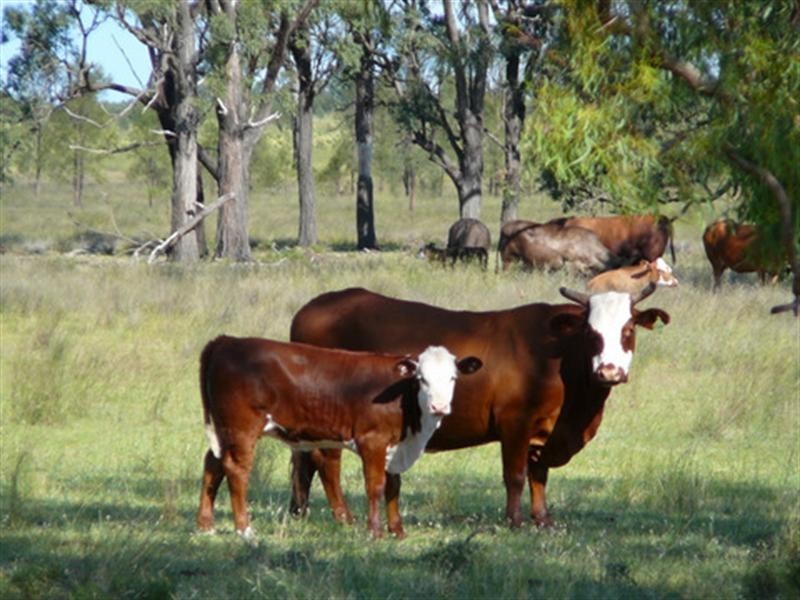 Lot 2 Owens Scrub Road, Millmerran QLD 4357