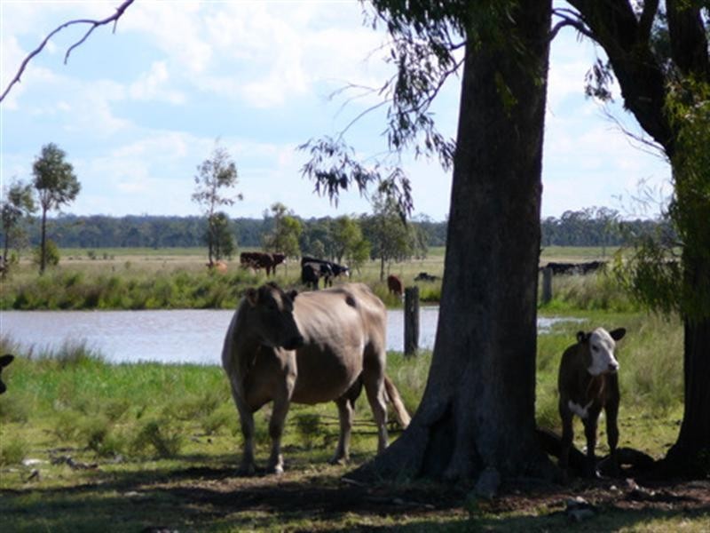 Lot 2 Owens Scrub Road, Millmerran QLD 4357