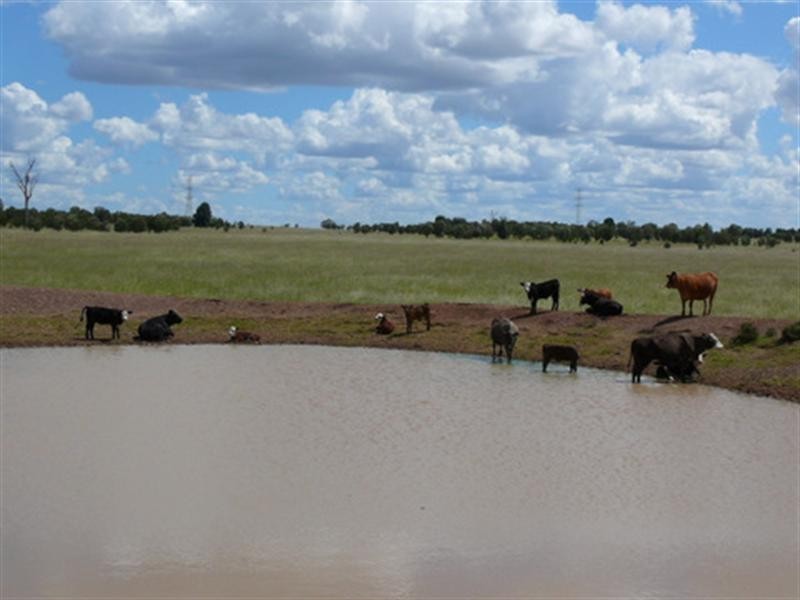 Lot 2 Owens Scrub Road, Millmerran QLD 4357