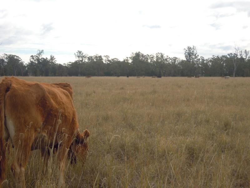 Lot 2 Owens Scrub Road, Millmerran QLD 4357