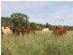 809 Biddeston-Linthorpe Road, Pittsworth QLD 4356