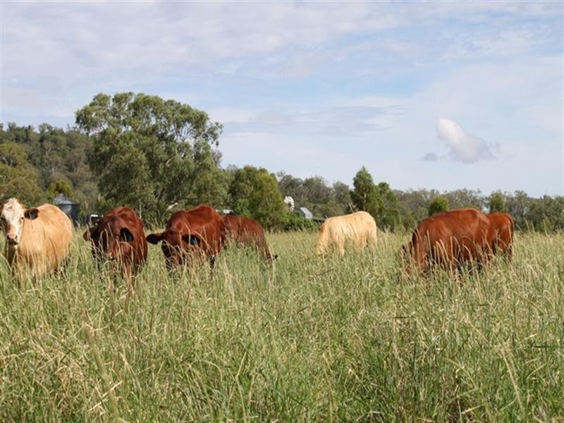 809 Biddeston-Linthorpe Road, Pittsworth QLD 4356