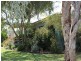809 Biddeston-Linthorpe Road, Pittsworth QLD 4356