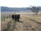 809 Biddeston-Linthorpe Road, Pittsworth QLD 4356