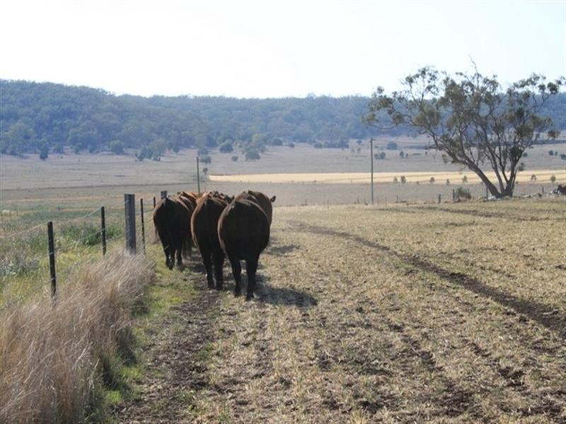 809 Biddeston-Linthorpe Road, Pittsworth QLD 4356