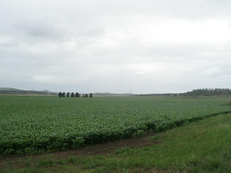 0 Oakey Road, Mount Tyson QLD 4356