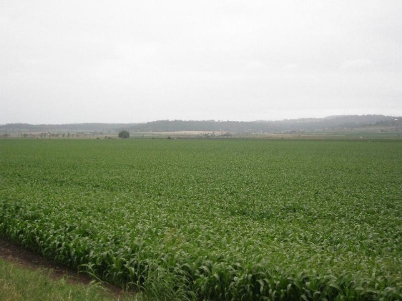 0 Oakey Road, Mount Tyson QLD 4356