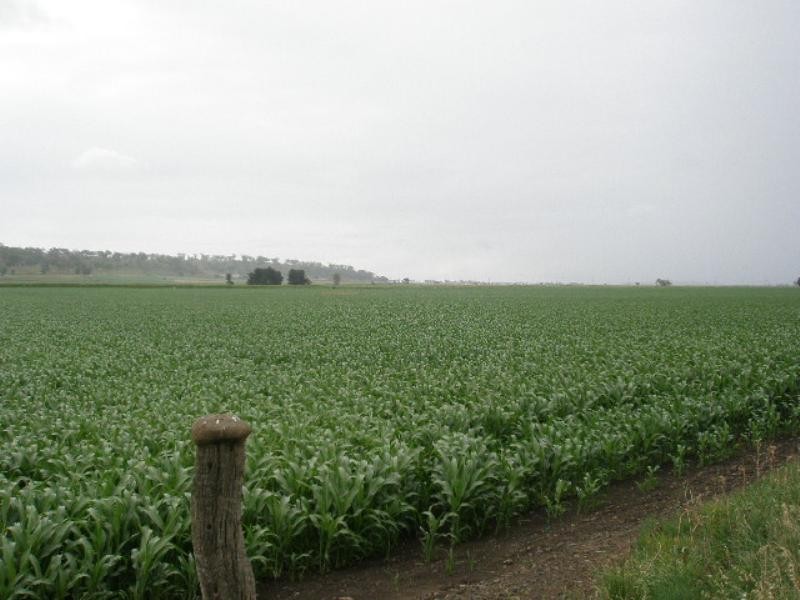 0 Oakey Road, Mount Tyson QLD 4356