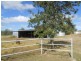 940 Wyangapini Road, Pittsworth QLD 4356