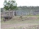 940 Wyangapini Road, Pittsworth QLD 4356