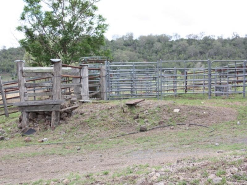 940 Wyangapini Road, Pittsworth QLD 4356