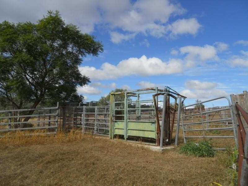 940 Wyangapini Road, Pittsworth QLD 4356