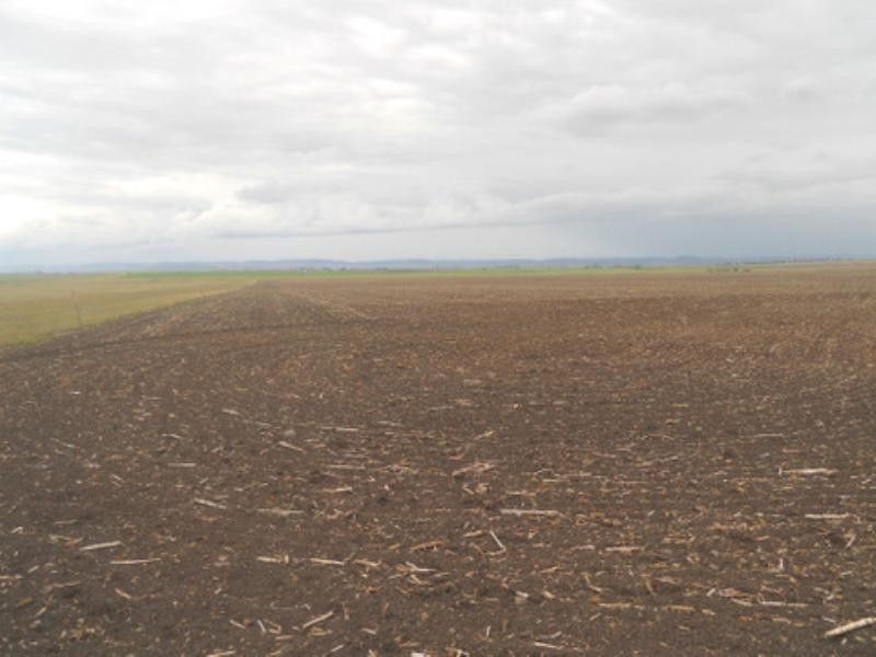 98 Venz Road, Nobby QLD 4360