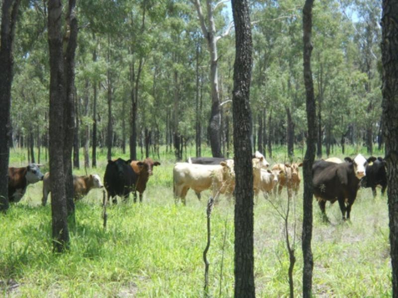 0 Millmerran-Leyburn Road, Millmerran QLD 4357