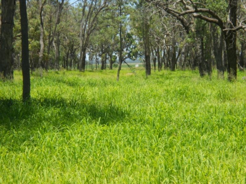 0 Millmerran-Leyburn Road, Millmerran QLD 4357