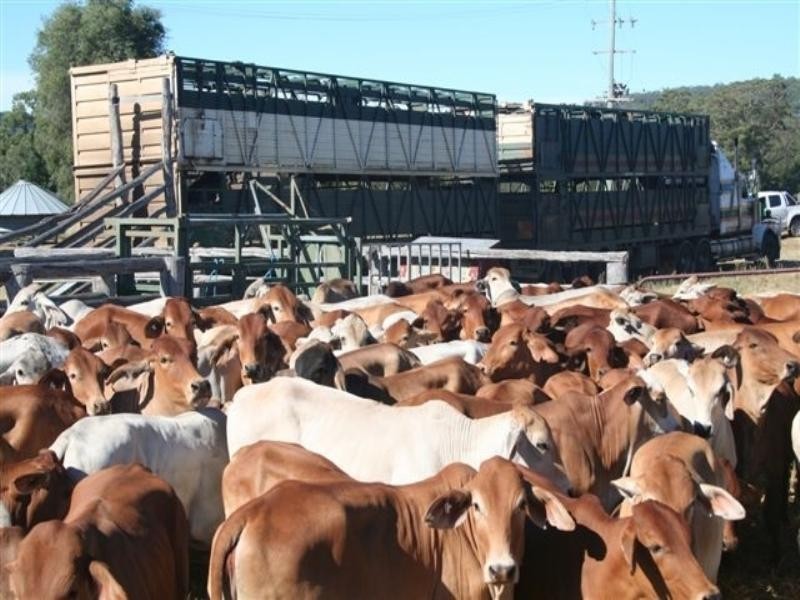 233 Bora Creek Road, Millmerran QLD 4357