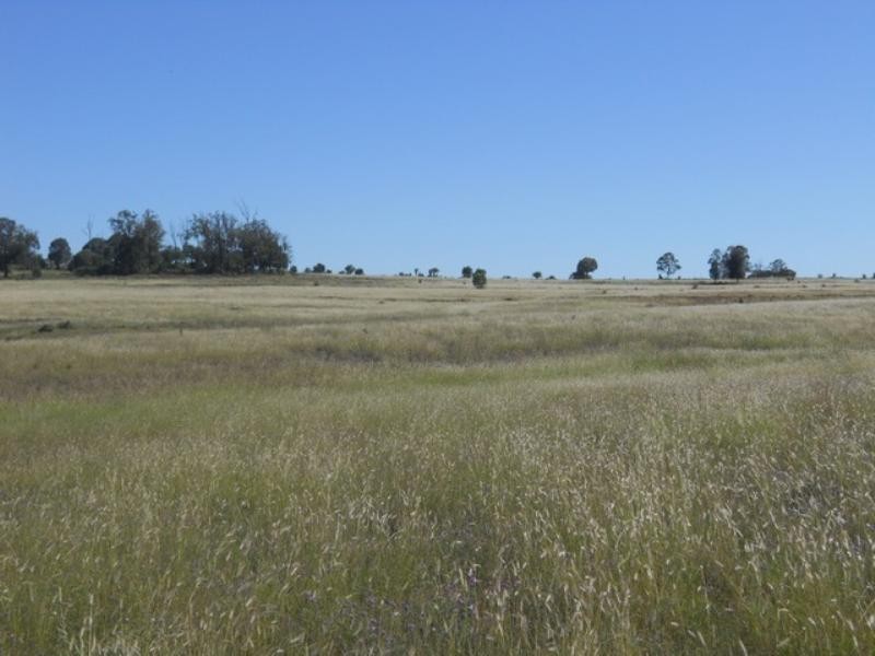 233 Bora Creek Road, Millmerran QLD 4357