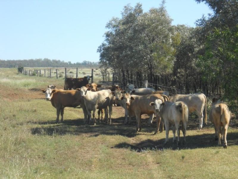 233 Bora Creek Road, Millmerran QLD 4357