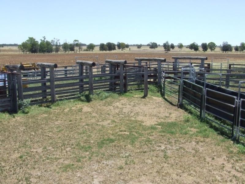 525 Narromine Road, Goondiwindi QLD 4390