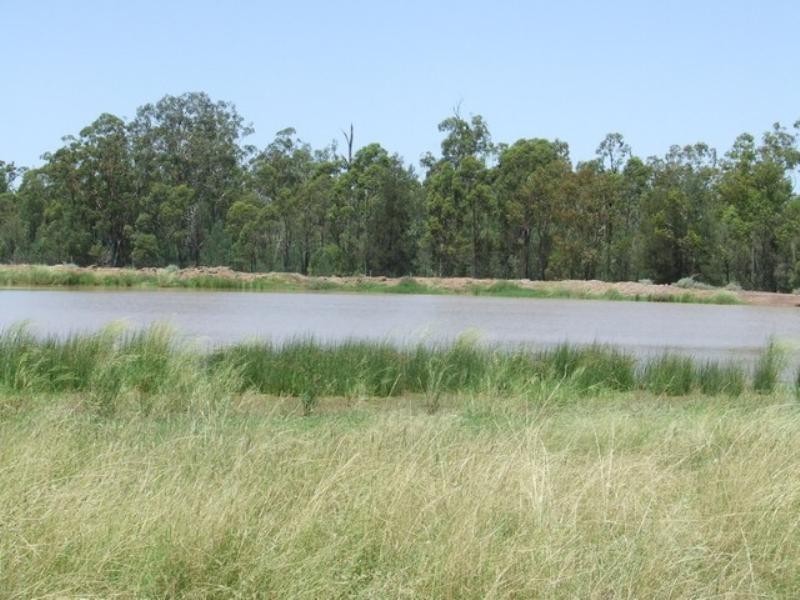 525 Narromine Road, Goondiwindi QLD 4390