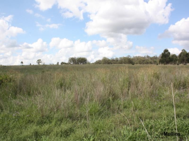 0 Mt Manning Road, Allora QLD 4362