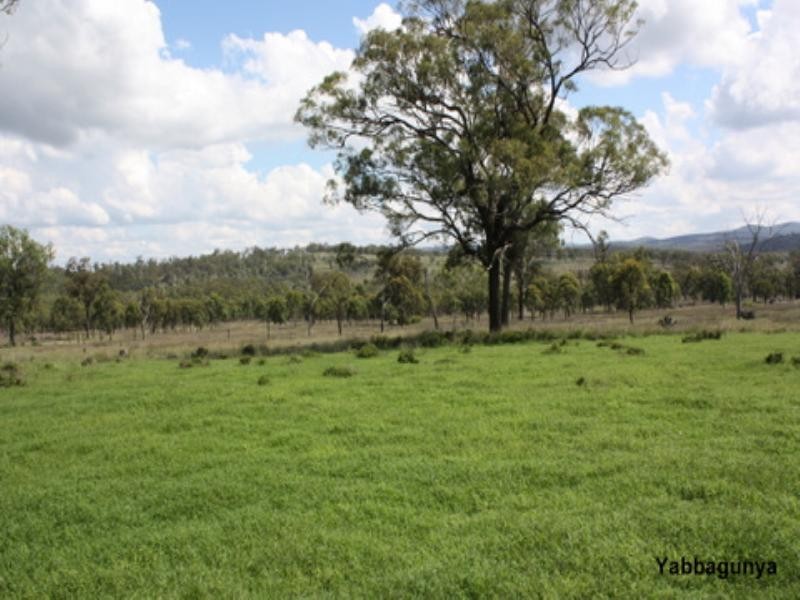 0 Mt Manning Road, Allora QLD 4362