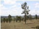 0 Mt Manning Road, Allora QLD 4362