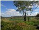 1529 Felton-Pittsworth Road, Pittsworth QLD 4356