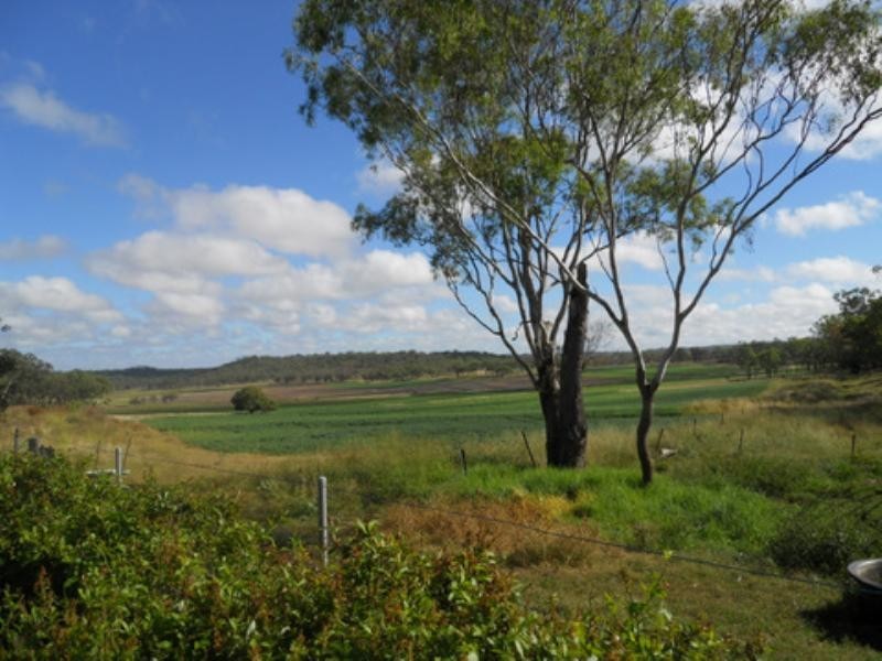 1529 Felton-Pittsworth Road, Pittsworth QLD 4356