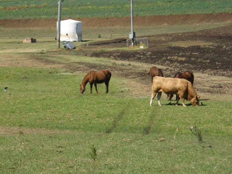 4733 Clifton-Gatton Road, Clifton QLD 4361