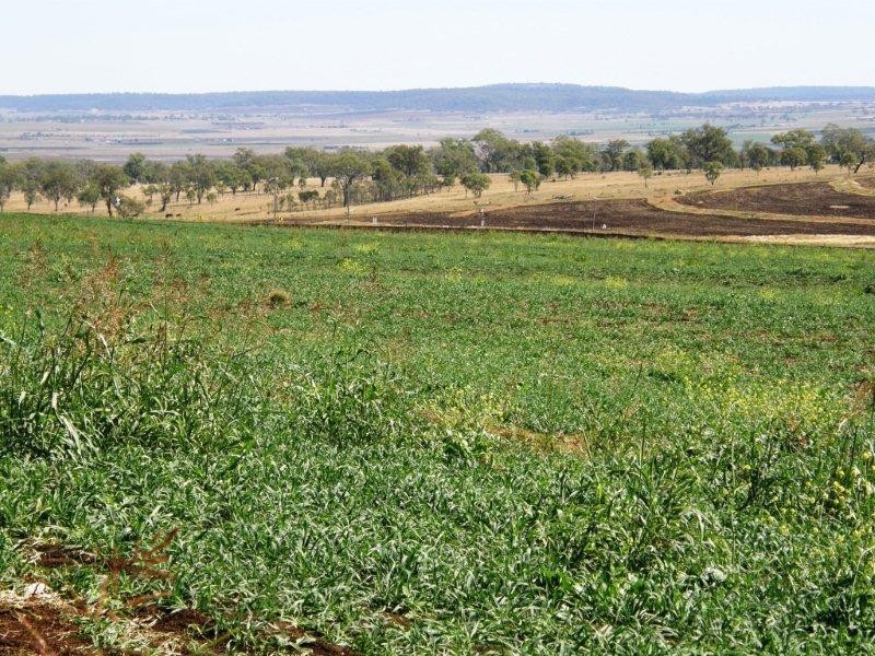 4733 Clifton-Gatton Road, Clifton QLD 4361