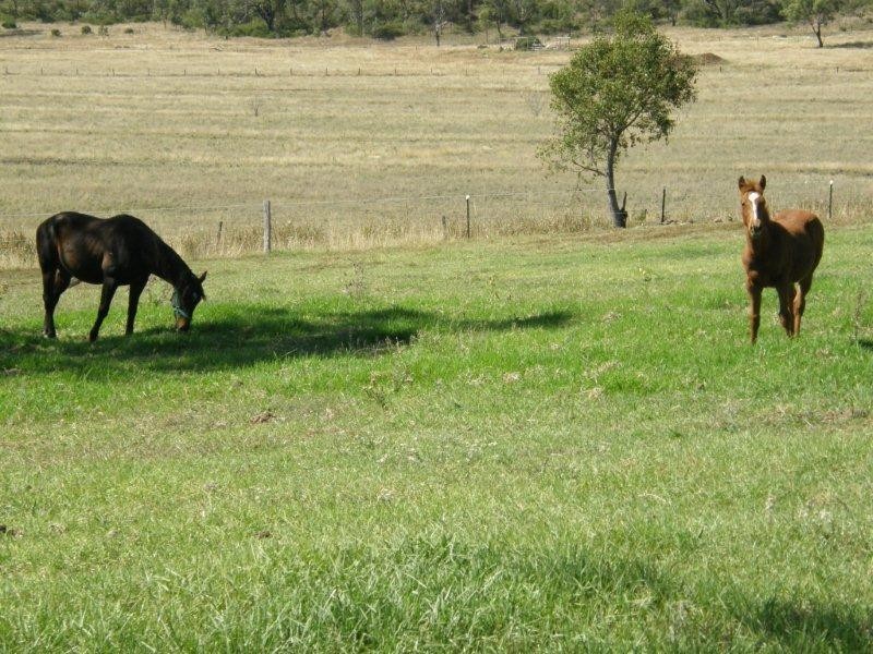 4733 Clifton-Gatton Road, Clifton QLD 4361