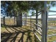 1723 Clifton-Pittsworth Road, Pittsworth QLD 4356