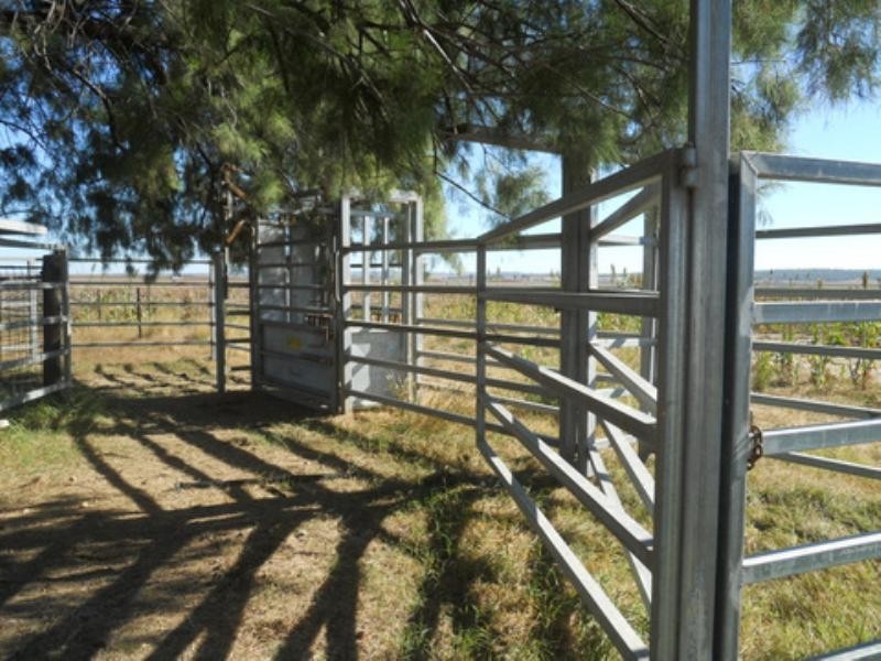 1723 Clifton-Pittsworth Road, Pittsworth QLD 4356