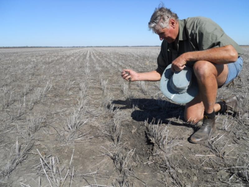 1723 Clifton-Pittsworth Road, Pittsworth QLD 4356