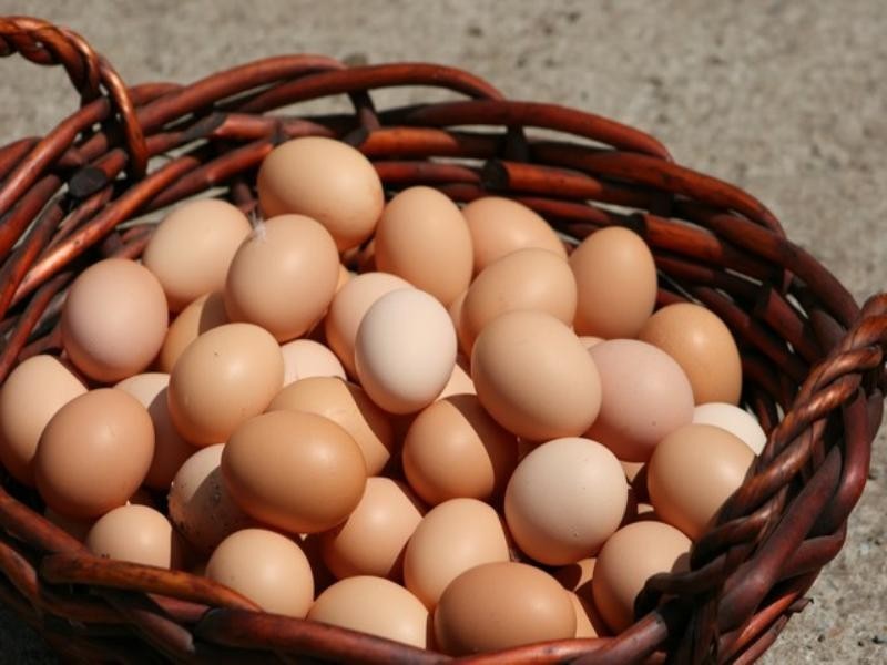 825 Linthorpe Valley Road, Pittsworth QLD 4356