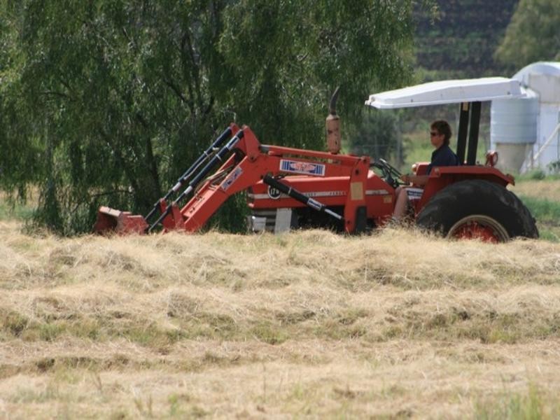 825 Linthorpe Valley Road, Pittsworth QLD 4356