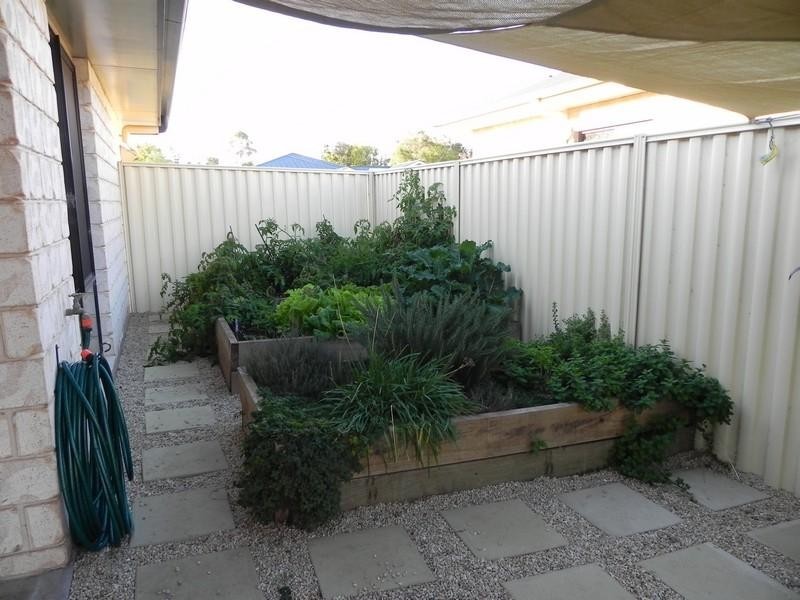 9 Draydon Court, Pittsworth QLD 4356