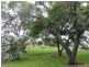 Pittsworth QLD 4356