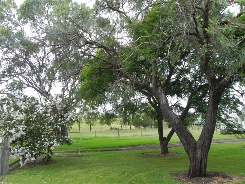 Pittsworth QLD 4356