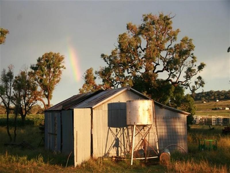 290 Back Plains Road, Clifton QLD 4361