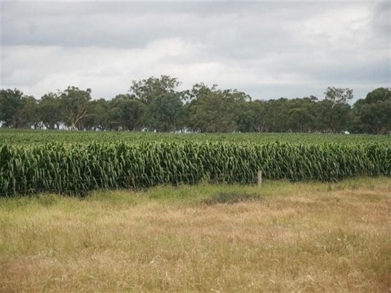 290 Back Plains Road, Clifton QLD 4361