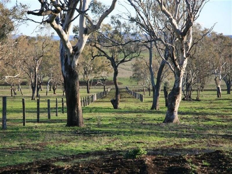 290 Back Plains Road, Clifton QLD 4361