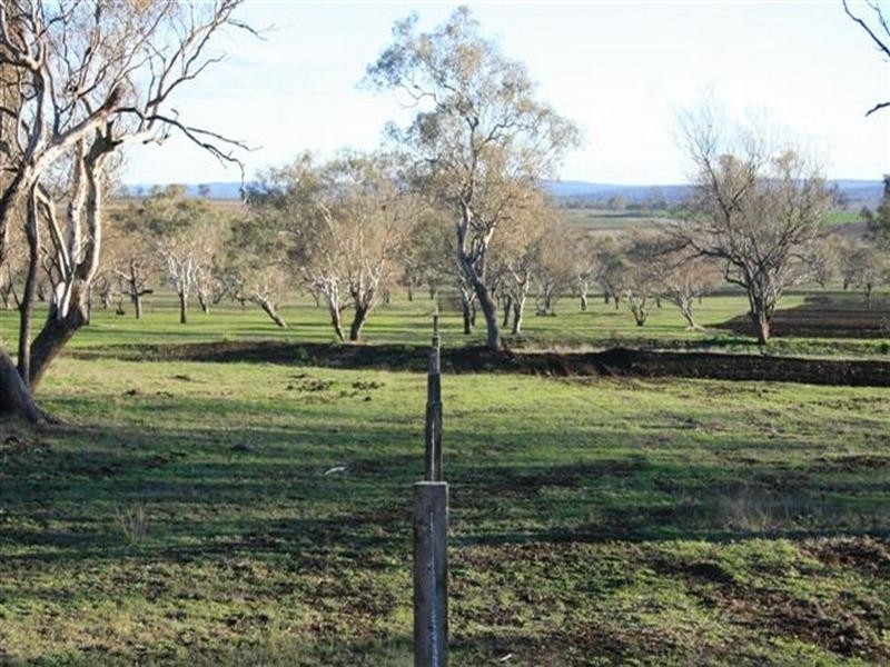 290 Back Plains Road, Clifton QLD 4361