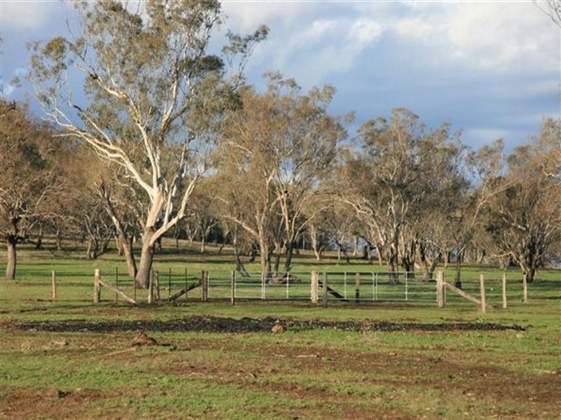 290 Back Plains Road, Clifton QLD 4361