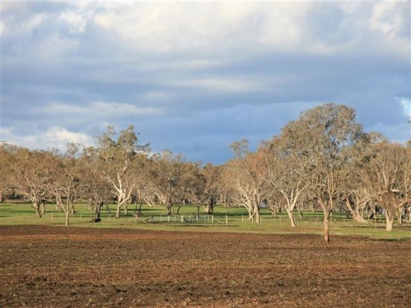 290 Back Plains Road, Clifton QLD 4361