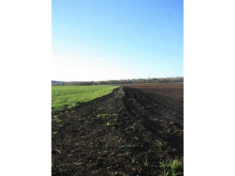 290 Back Plains Road, Clifton QLD 4361